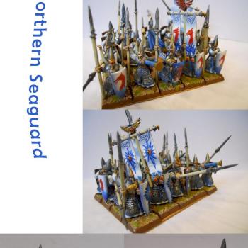High Elves Northern Seaguard by hazelanne