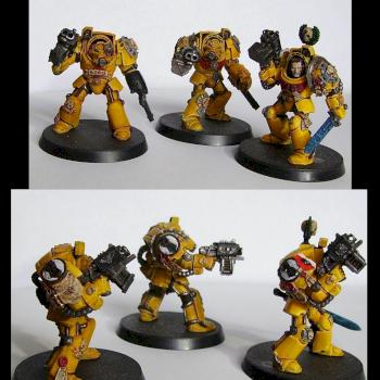 Imperial Fist Terminator squad commission by Rogan