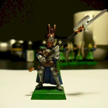 High Elf-Pheonix Guard Front by zuriel45
