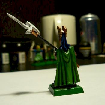 High Elf-Pheonix Guard Back by zuriel45
