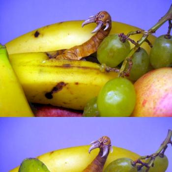 Banana Surprise by Lemminkäinen