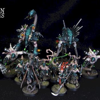 Dark Eldar Army by Awaken Realms