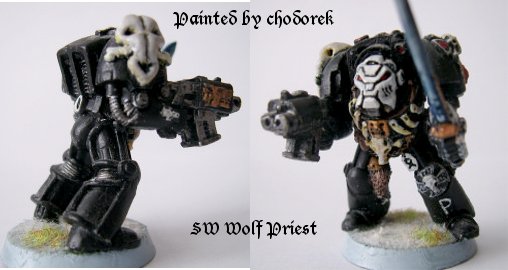 Sw Wolf Priest by chodorek