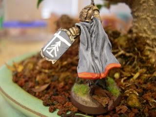 Captain of Gondor by OriginalAragorn