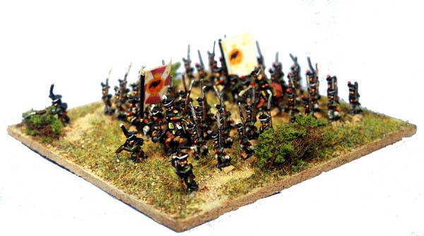 Adler 6mm Napoleonic Russians by squeaky