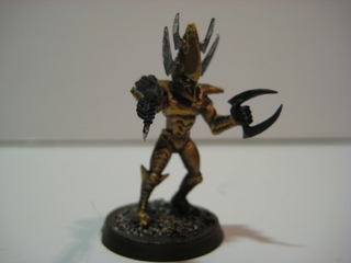 Dark Eldar by Wulf328