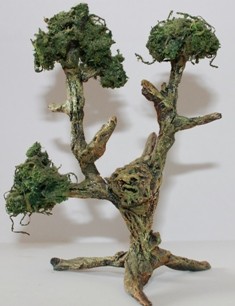 Ent 1 by payasetesinthehouse