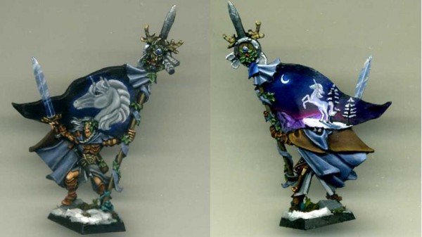 Standard Bearer Wood Elf by Drakkarth