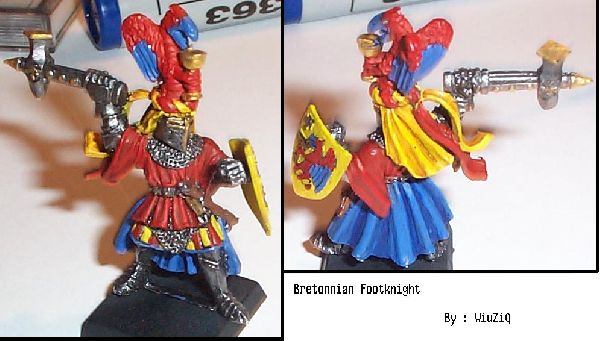 Bretonnian FootKnight repainted ! by WiuZiQ