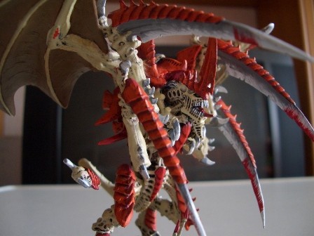 Flügeltyrant by wemse