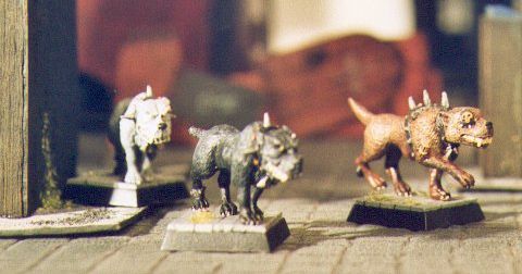 Mordheim Dogs by Alhazred