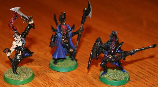 Dark Eldar Army by Nate B