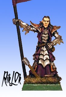 druchii battle standard bearer by RikLok2