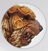 Dwarves War Bears Worriors set by Scibor