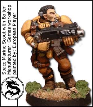 Scout with Bolter by European Player