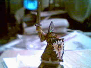 A better image of my High Elf Champion by Vaxalon