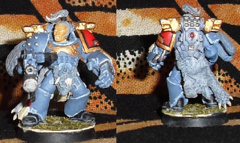 One of my Wolfguard Packleaders by Bram