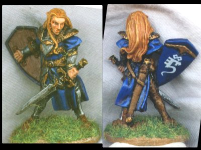 Elf Paladin by bleakphoenix