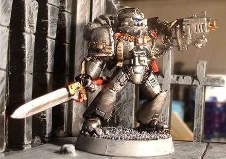Grey Knight by madmaxter