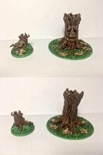 11 Terrain.JPG