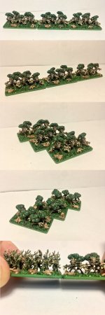 17 Dryads.JPG