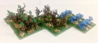 IMG_4947.JPG