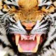 Raid