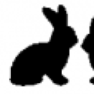theshadowbunny