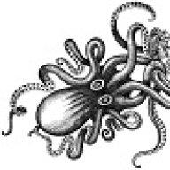 Atomic Kraken
