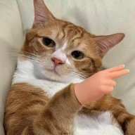 PurrPaul