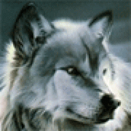 lykos