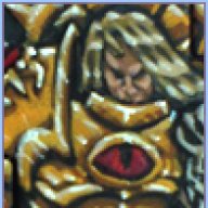 Steel Paladin