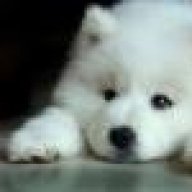 Copperwolf