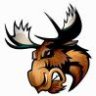 Moose