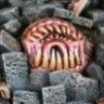 Terraformer
