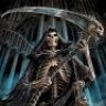 Typhus13