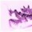 purplemantis48