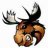 Moose