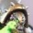 Heimdall79